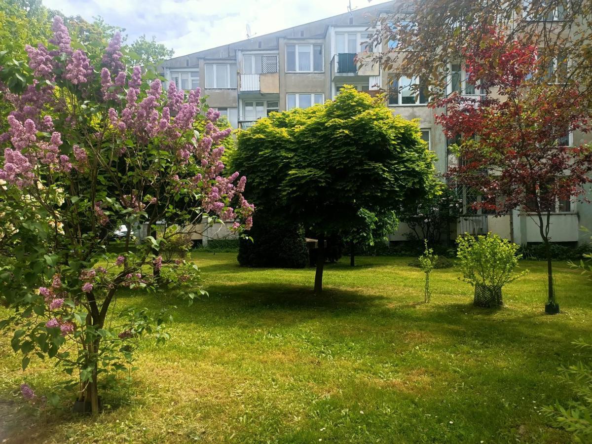ורוצלב Przytulny Dwuosobowy Apartament Jaworowa מראה חיצוני תמונה